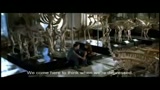 COME TE NESSUNO MAI - IL TRAILER
