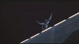 03/04/2009 - ENTRAPMENT - il trailer