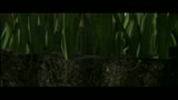 Z LA FORMICA - il trailer