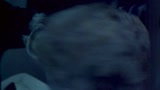 IL FUGGITIVO - il trailer