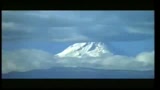 03/04/2009 - BELLI E DANNATI - il trailer