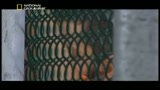 inside guantanamo