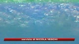 Usa, due sparatorie in meno di 24 ore