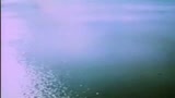 IL PIANETA DELLE SCIMMIE - IL TRAILER