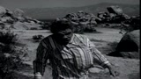 TARANTOLA - IL TRAILER