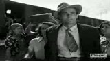 RISO AMARO - IL TRAILER