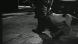 OSSESSIONE - il trailer