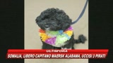 12/04/2009 - Alla Casa Bianca arriva Bo, il cane degli Obama