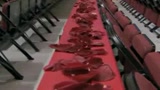 Petali di rose per Derrick Rose