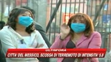 Febbre suina, il virus arriva anche in Europa