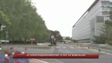 Febbre suina, allerta massima in Giappone e Cina