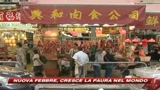 Febbre suina, primo caso in Germania