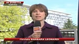 Febbre suina, nuovi casi in Europa. Oms: allerta 5
