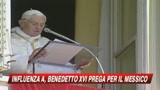 Influenza A, il Papa: Prego per le vittime del virus
