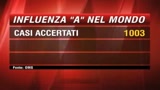 Influenza A, Oms: 1003 i contagi nel mondo