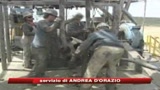 09/05/2009 - Il Venezuela statalizza le compagnie petrolifere