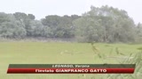 Giallo nel Veronese: trovato il cadavere di una donna 