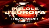 Unione europea, fonti e impieghi dei fondi comunitari 