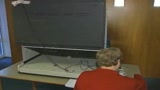 04/06/2009 - Europee, l'Olanda va al voto 