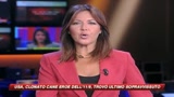 Usa, clonato il cane eroe dell'11 settembre