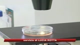 Nuova influenza, Oms: Pandemia inarrestabile
