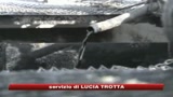 Ortis: Sul petrolio abnorme speculazione 