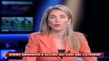 21/07/2009 - Bimbo di 7 anni sbranato e ucciso da cani nel Catanese