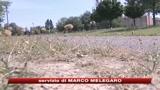 22/07/2009 - Caldo, arriva una nuova ondata di caldo record