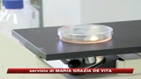 H1N1, in Gran Bretagna la situazione più preoccupante