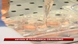 23/07/2009 - H1N1, ad agosto via a sperimentazione vaccino in Italia