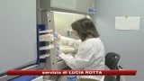 Influenza A, allarme dell'Oms: diffusione quasi al 100%