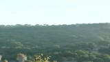 25/07/2009 - Sardegna, si lotta contro nuovi focolai