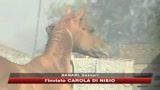 26/07/2009 - Sardegna, ancora roghi. C'è una mano mafosa dietro