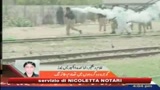 Pakistan, violenze contro i cristiani: 8  bruciati vivi