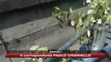 17/08/2009 - Napoli, rivolta nel campo rom della ragazza uccisa 