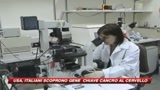 Usa, italiani scoprono gene chiave tumori al cervello