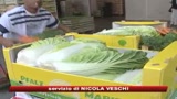 Bankitalia: gli immigrati non tolgono lavoro a italiani