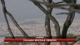 25/08/2009 - Grecia, fuoco sotto controllo. Ma l'allerta rimane