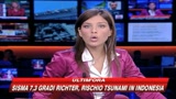 02/09/2009 - Forte terremoto in Indonesia, scatta  l'allarme tsunami
