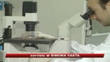 Influenza A, Fazio: pronte 500mila dosi di vaccino