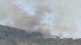 08/09/2009 - Genova, incendi sotto controllo. Ma  il vento fa paura