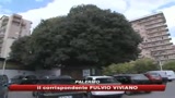 Terremoto a Palermo, tanta paura ma niente danni