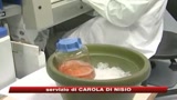 Influenza A, profilassi al via tra un mese