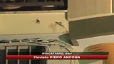 27/09/2009 - Spara ai ladri attraverso la porta, un morto nel Barese