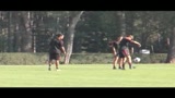 30/09/2009 - Berlusconi: mai detto che il Milan è un disastro