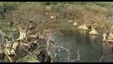 VIOLA DI MARE - il trailer
