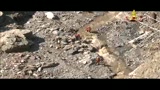 La ricerca dei dispersi in fiume