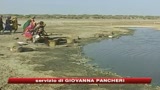 14/10/2009 - Fao, fame nel mondo: oltre un miliardo le vittime