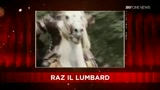 SKY Cine News: Raz Degan il lumbard