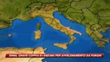 Coppia in coma dopo aver mangiato funghi